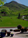 red-butte-garden